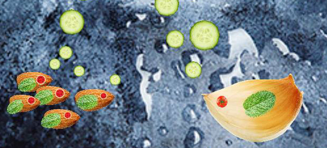 Food collage with fishies