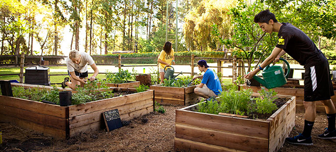 Residents of the Sustainable Living Community at UCLA can participate in projects such as the community garden run by the student group E3: Ecology, Economy, Equity.
