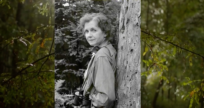 Rachel Carson with forest insert 2