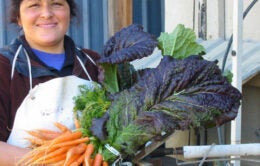 Full Belly Farms worker