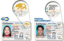 REAL ID and non-compliant ID