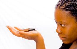 Woman holding cockroach