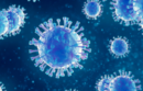 Coronavirus blog