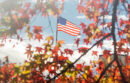 American Flag with fall leaves