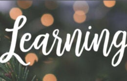 "Learning" with holiday lights