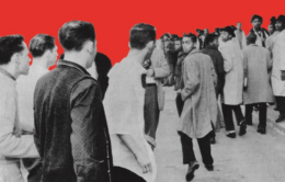 Book cover - The Color Line