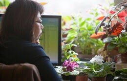 Woman with many desk plants