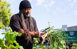 Man holding freshly picked onions