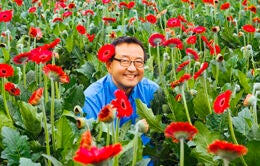 Man sitting in field of flowers