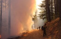 Firefighters battling a California wildfire