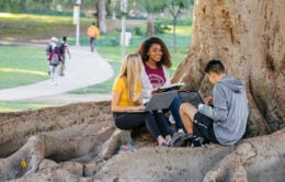 students under tree at UC Irvine