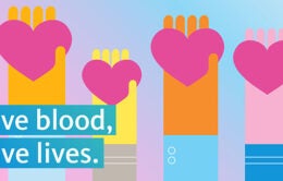 Multicolored hands holding hearts