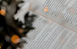 Book near holiday tree