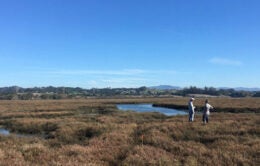Students at Elkhorn Slough