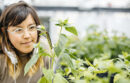 Woman looking at caterpillar on leaf