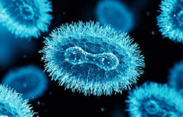 MPX (monkeypox) visualization