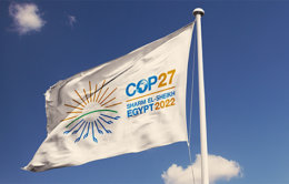 COP27 flag