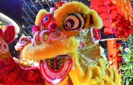 lion dance costume lunar new year