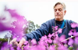 Man harvesting flowers in Monterey