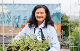 Woman holding a flat tray of violets for planting