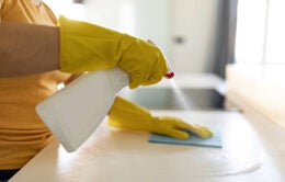 Person cleaning a counter
