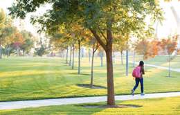 UC Davis student walking on campus wearing pink backback