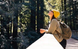 UC Santa Cruz student looking up at redwood trees