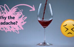 "Why the headache?" Glass of red wine and uncomfortable emoji face