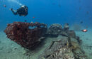 Justin Dunnavant on a dive off the coast of Maui, exploring WWII wrecks.