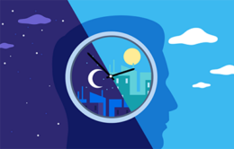 Person's head divided by day and night