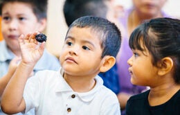 Boy holding a blackberry, surrounded by other children