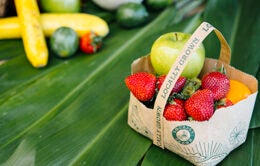 Produce from UC Riverside farm share