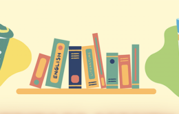 Bookshelf with pocky sticks and chips