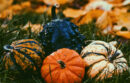 Decorative pumpkins