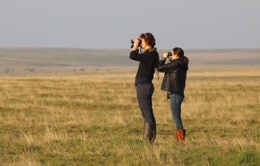 Women birdwatching in a field