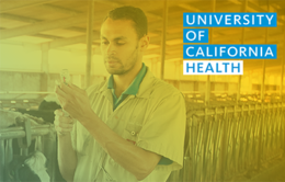 Man vaccinating cattle