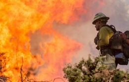 Firefighter fighting LA fires