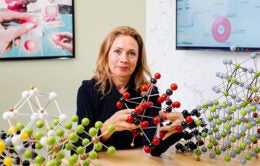 Kristin Persson with scientific models