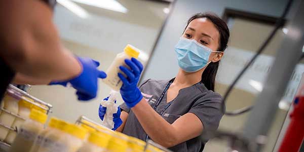 UC Health Milk Bank staff organize donations.