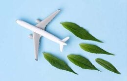 White airplane model, fresh green leaves on blue background.