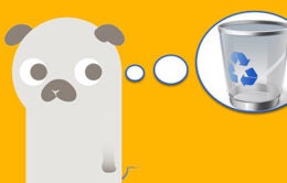 Confused pug dog envisioning a recycling bin