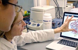 Nobelist Jennifer Doudna explains a digital model to a student in her lab
