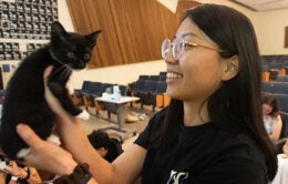 Girl holding up a tiny adorable kitten