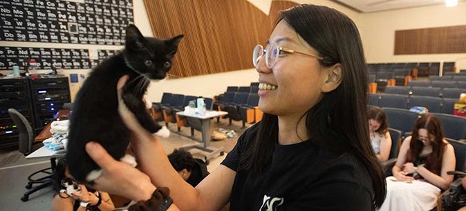 Girl holding up a tiny adorable kitten