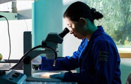 Scientist working in a lab