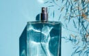 Bottle of cologne against blue background