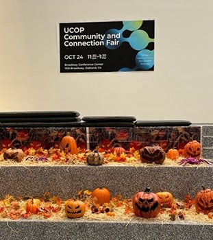 Pumpkins on a shelf