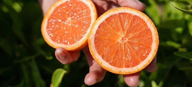 How UC helps three Central Valley farmers feed America