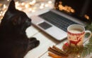 Black cat working at computer with holiday mug