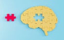 Brain with a puzzle piece missing